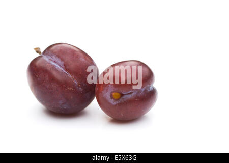 Two plums on a white background. Stock Photo