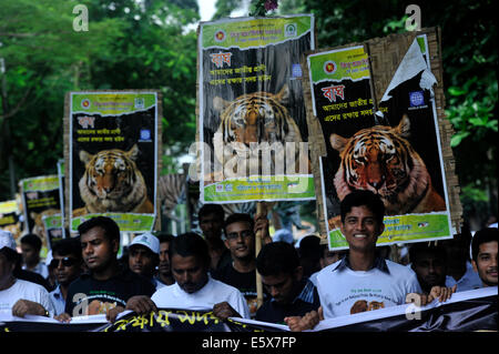Dhaka, Bangladesh. 7th Aug, 2014. People attend the street parade of the “Global Tiger Day” in Dhaka. Tigers are now endangered species, and in Bangladesh as of 2004, there are only 419 tigers  left in sunderbans. Credit:  PACIFIC PRESS/Alamy Live News Stock Photo