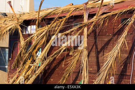 log cabin destroyed after a tornado Stock Photo