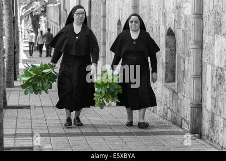 MADRID,SPAIN - APRIL 4:Nuns walking down the street prepared the Feast of Palm Sunday April 4, 2014 in Madrid Spain Stock Photo