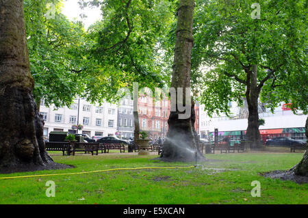 water sprinkler in park in London Stock Photo