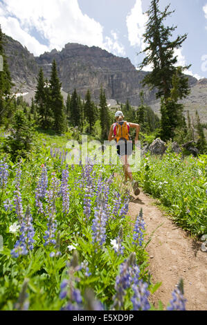 Annie Aschim trail running Albion Basin in Alta, Utah. Stock Photo