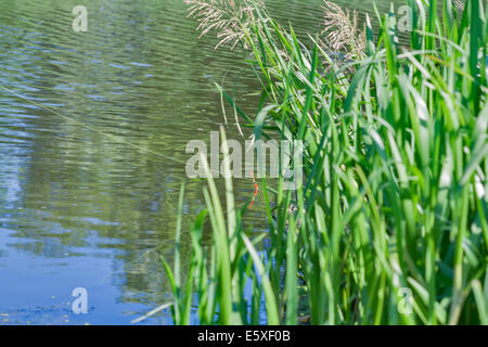 An orange and green fishing bobber floating in the water Stock Photo - Alamy