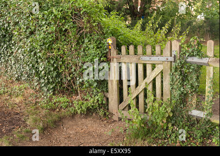 old fashioned wooden lattice oak gate partly secluded marking entrance to forgotten footpath in countryside Stock Photo