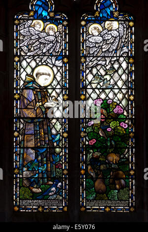 Saint Francis stained glass, St. James Church, Cradley, Herefordshire, England, UK Stock Photo