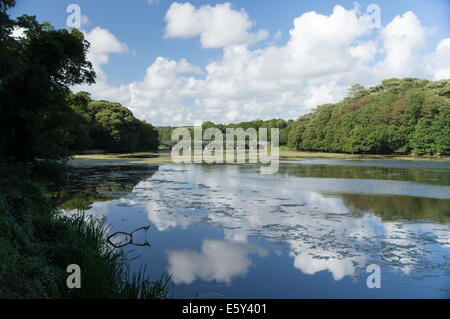 A view of the 8-arch bridge at Bosherston lily ponds Pembrokeshire Wales Stock Photo