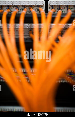 Network cables connected to computer equipment Stock Photo