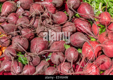 Display of freshly picked red beets at the farmers market Stock Photo