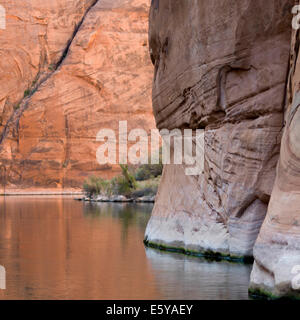 River flowing through a canyon, Glen Canyon National Recreation Area, Colorado River Float Trip, Colorado River, Arizona-Utah, Stock Photo