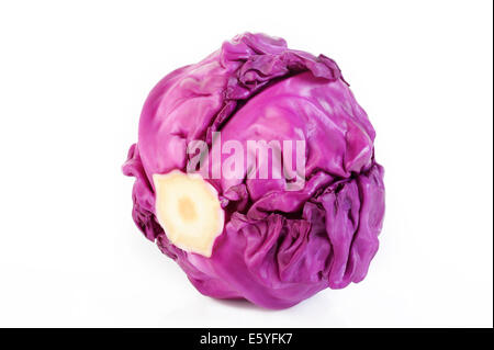 red cabbage isolated on white Stock Photo
