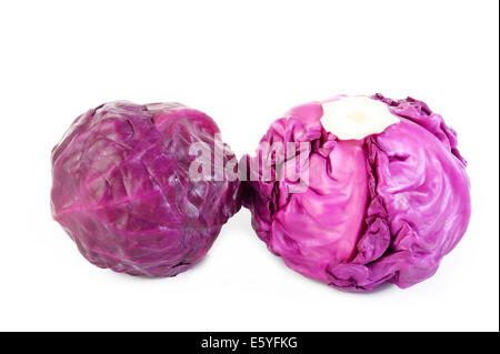 red cabbage isolated on white Stock Photo