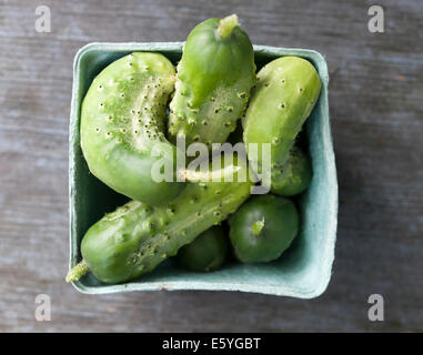 Box of freshly picked garden cucumbers on old wooden background Stock Photo