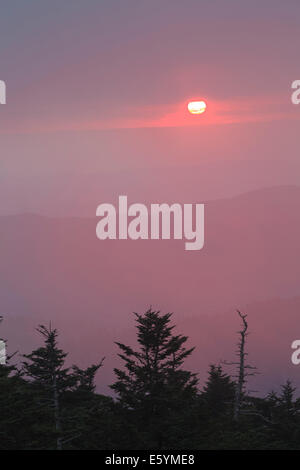 View from the Clingmans Dome Observation Tower, Great Smoky Mountains National Park Stock Photo