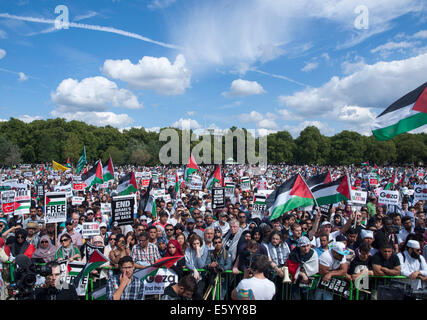 London, UK. 9th August, 2014.   Pro-Palestinian activists protest against continued military operations carried out by the Israeli Defence Force in Gaza at a rally in Hyde Park. Credit:  Mamusu Kallon/Alamy Live News Stock Photo