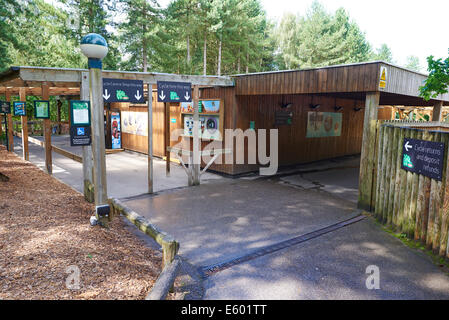 Cycle Hire Centre, Center Parcs Sherwood Forest UK Stock Photo - Alamy
