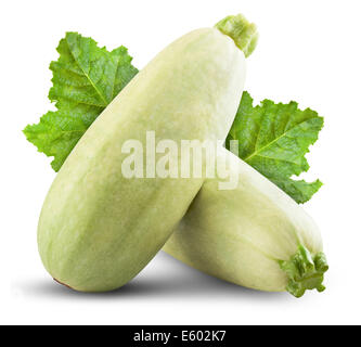 Fresh vegetable marrow isolated on white background. Clipping Path Stock Photo
