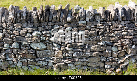 A section of dry stone wall made from limestone, Cumbria, England. With green field in background Stock Photo