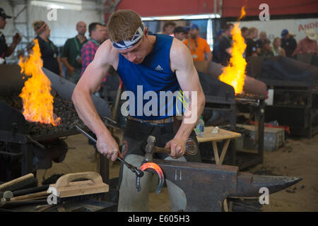 Farrier shaping hot shoe on anvil, competing in the final round of the World Championships Blacksmiths' competition at the Calgary Stampede, Canada Stock Photo