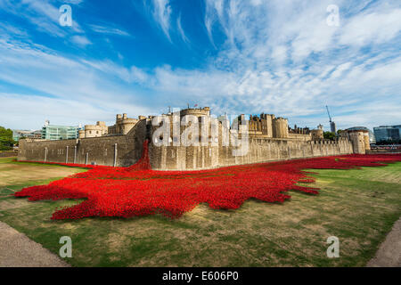 To mark the centenary of the First World War thousands of ceramic poppies have been placed in the moat of the Tower of  London Stock Photo