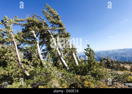 Mount Tallac trailhead overlooking lake Tahoe, California, USA Stock Photo