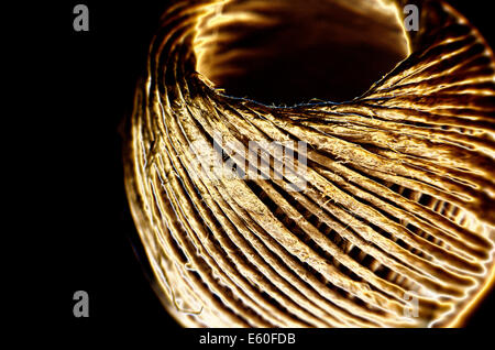 Rope Coil Isolated On The Black Background Stock Photo