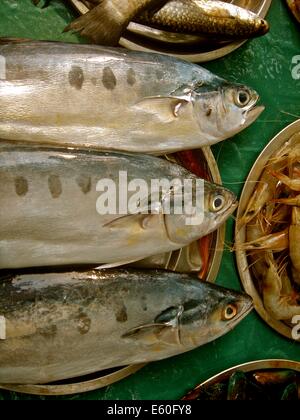 Fresh fish on a market stall in the port city of Kochi (Cochin), Kerala, India Stock Photo