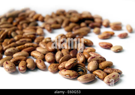 Brown Beans Isolated On The White Background Stock Photo