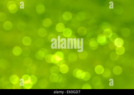 Abstract circular natural green bokeh texture background Stock Photo