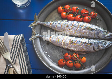 a plate of fresh mackerel Stock Photo