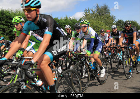 East Molesey, Surrey, UK. 10th August, 2014. Prudential RideLondon-Surrey Classic. Peloton. 147 professional cyclists took part in the event which covers 125miles and mostly follows the route used in the London 2012 Olympic Road Race. Credit:  Ian Bottle/Alamy Live News Stock Photo