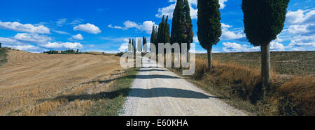 Italy, Tuscany, Sienna province, Crete landscape Stock Photo