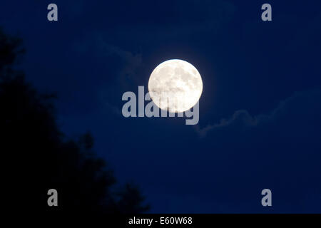 Wimbledon London,UK. 10th August 2014 Supermoon appears over London Credit:  amer ghazzal/Alamy Live News Stock Photo