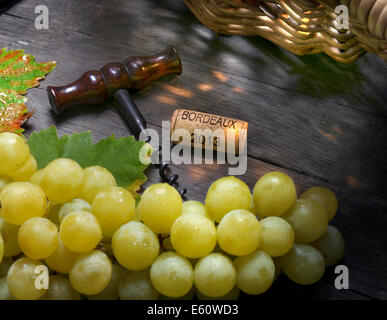 Conceptual Wine harvest cellar situation with grape pickers basket white grapes corkscrew and Bordeaux 2013 cork on wine barrel Stock Photo