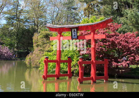 Japanese pagoda at Brooklyn Botanic Garden. Stock Photo