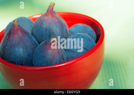 Black Purple Figs,Black Mission Figs in a Red Bowl Stock Photo