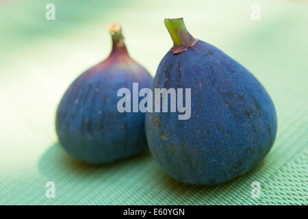 Black Purple Figs, Black Mission Figs Stock Photo