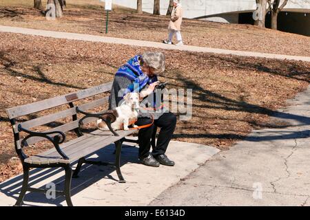 Older woman texting, sitting on park bench with her dog. Lincoln Park, Chicago, Illinois Stock Photo