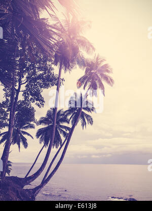 Vintage stylized tropical beach with palm tree at sunset Stock Photo ...