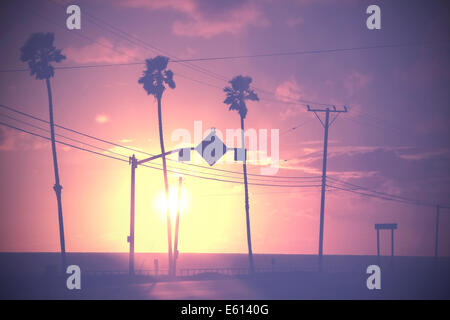 Vintage dimmed sunset picture of street palms against sun Stock Photo