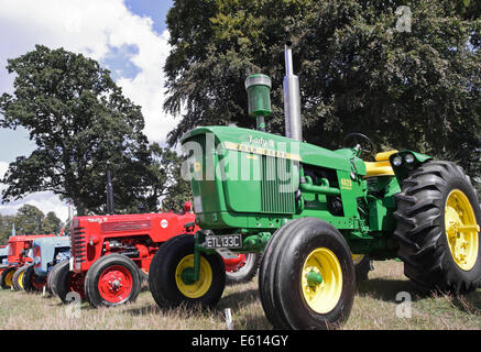 vintage tractors show line up Stock Photo