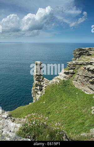 Tintagel Castle remains North Cornwall. Stock Photo