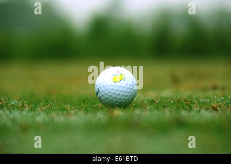 Titleist Golf Ball Stock Photo: 53935754 - Alamy