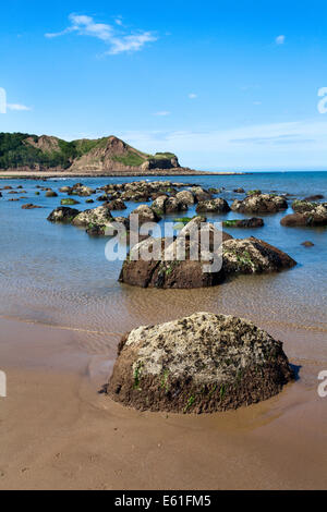 Rocks along the Sea Shore at Osgodby Point or Knipe Point Cayton Bay Scarborough North Yorkshire England Stock Photo