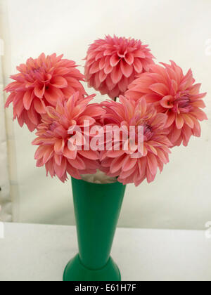 A vase of chrysanthemums at a produce display in an English village fair Stock Photo