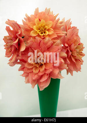 A vase of chrysanthemums at a produce display in an English village fair Stock Photo