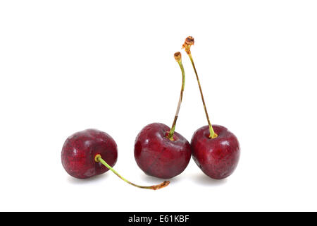 Cherries on white background Stock Photo