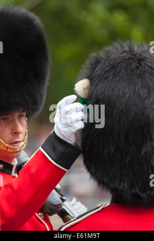 Commanding officer adjusting the bearskin of a foot guard at the Trooping the Colour ceremony, June 2014 on The Mall in London Stock Photo