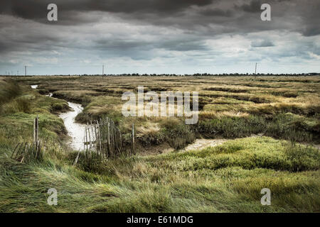 The saltings at Wallasea Island in Essex. Stock Photo