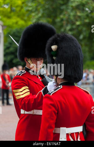 Commanding officer adjusting the bearskin of a foot guard at the Trooping the Colour ceremony, June 2014 on The Mall in London Stock Photo