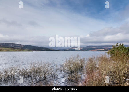 Clatteringshaws Loch in the Galloway Forest Park of Scotland Stock Photo